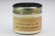 Load image into Gallery viewer, Odor-b-gone (citrus)